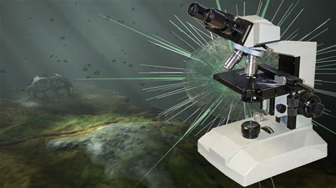 Microscope analysant des semences