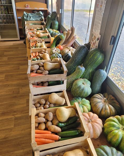 étal de marché d'automne avec courges et pommes
