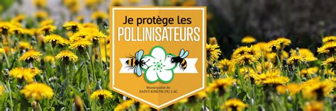 Sensibilisation à la protection des pollinisateurs