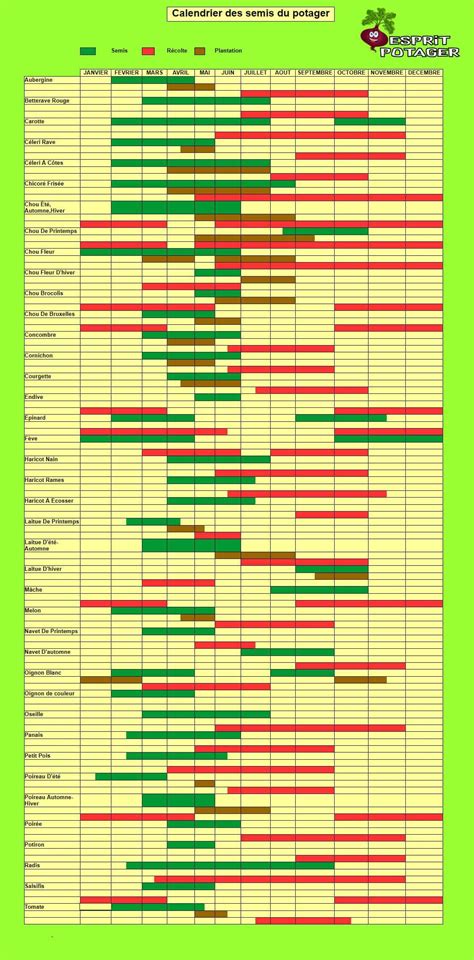 Calendrier de semis et récoltes pour un carré potager