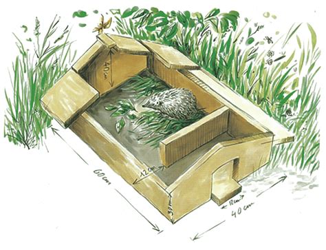 Schéma d'un abri idéal pour hérisson dans un jardin