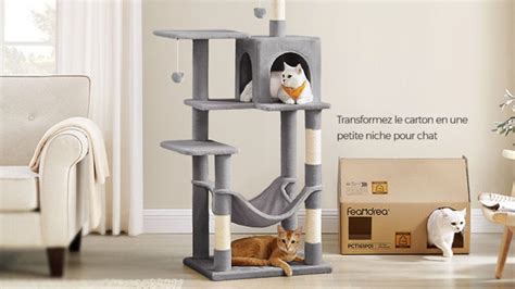 Schéma illustrant la stabilité d'un arbre à chat avec une base large
