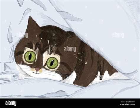 Illustration d'un chat pétrissant une couverture