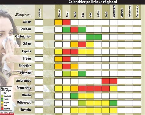 Calendrier pollinique des principales plantes allergisantes