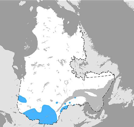Carte de l'aire de répartition de Poecilotheria metallica