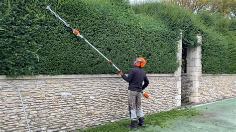 Taille-haie télescopique STIHL en action sur une haie haute