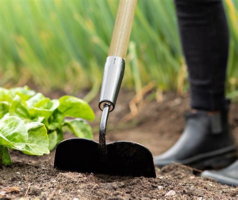 Un jardinier utilisant une binette pour désherber manuellement