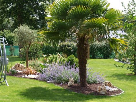 Exemple d'association de plantes au pied d'un palmier
