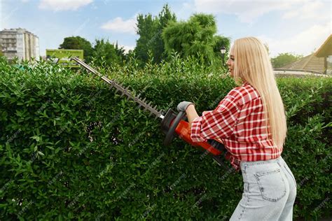 Personne taillant une haie avec des outils de jardinage