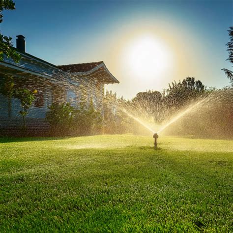 Arrosage de pelouse en plein soleil