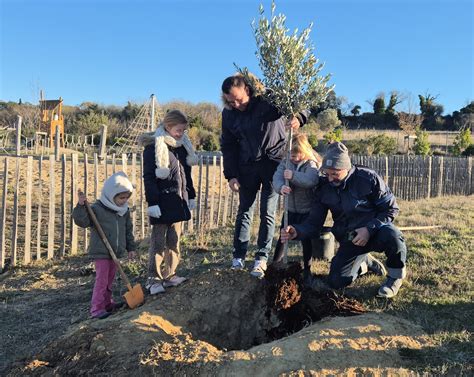 Arbres adoptés par l'association