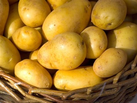 Préparation culinaire de la pomme de terre Spunta