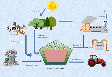 Schéma de production d'engrais à partir de biomasse
