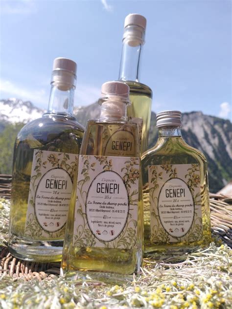 Plante de Génépi en montagne