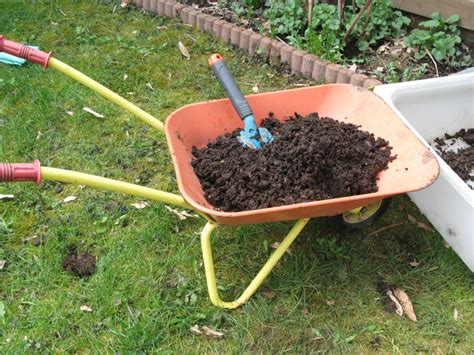 Utilisation du compost dans un jardin potager