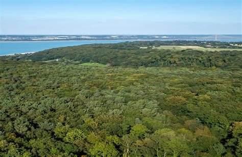 Vue aérienne du Bois du Breuil et de la côte normande