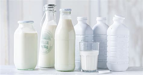 Comparaison visuelle des laits : cru, pasteurisé, UHT