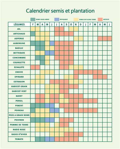 Illustration d'un calendrier de semis et de plantation