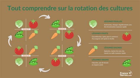 Diagramme des principes de rotation des cultures