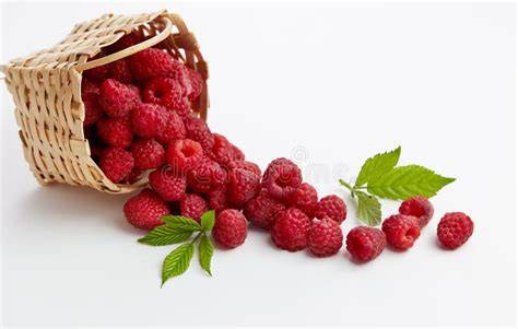 Panier de framboises noires fraîchement cueillies