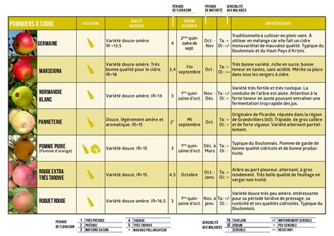 Schéma de classification des variétés fruitières