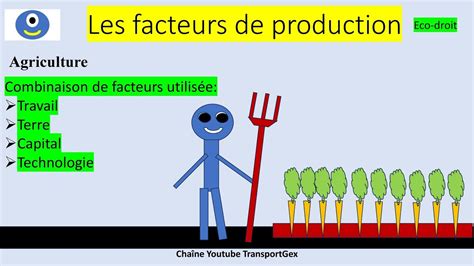 Diagramme illustrant les facteurs de performance économique d'une exploitation maraîchère