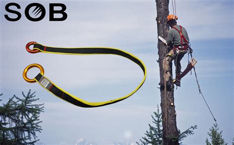 Personne grimpant dans un arbre avec équipement de sécurité