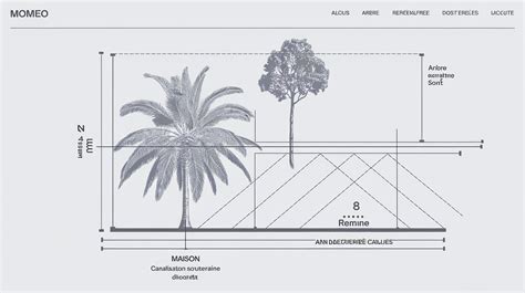 Schéma illustrant les distances de sécurité recommandées entre un palmier et une terrasse