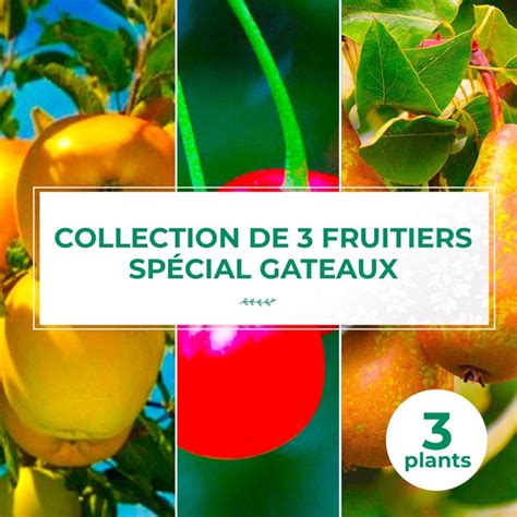 Illustration d'un catalogue de pépinière en ligne présentant différentes variétés d'arbres fruitiers avec leurs caractéristiques
