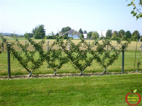 Un jardin avec un prunier près d'une clôture