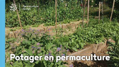 Jardin potager en permaculture dans les Pyrénées-Orientales
