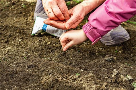 Enfants jardiniers plantant des graines