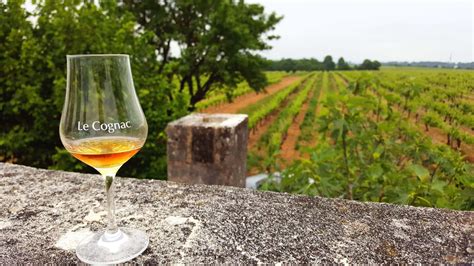 Vignoble de Cognac