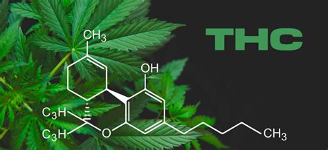 Molécules de CBD et THC, et les cannabinoïdes interdits