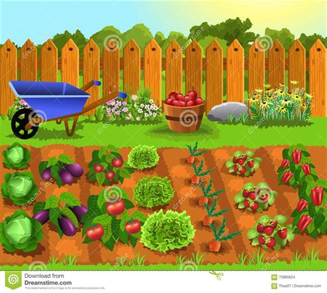 illustration d'un jardin potager bio