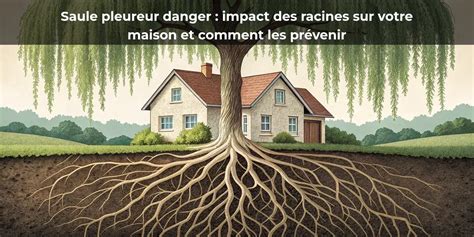 Illustration des effets de l'eau de saule sur les racines