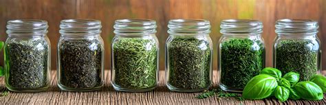 Tableau des méthodes de conservation des herbes aromatiques