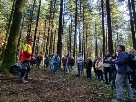 Infographie des facteurs de coût d'une plantation de douglas