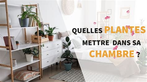 une chambre à coucher lumineuse avec des plantes vertes disposées sur des étagères et au sol