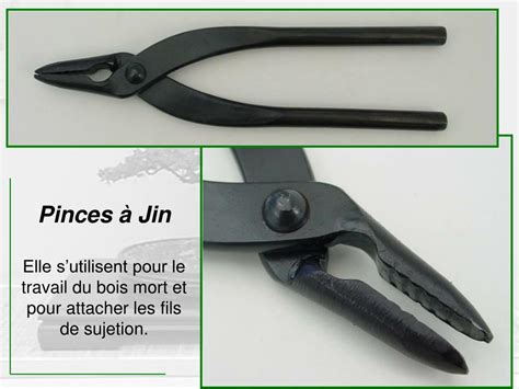 Outils pour travailler le bois mort d'un bonsaï : pinces à Jin, ciseaux concaves
