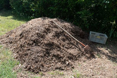 Compost avec broyat