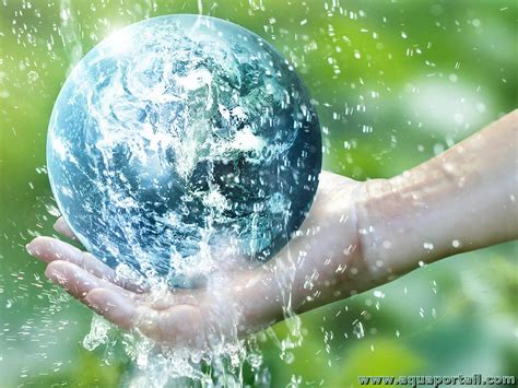 Infographie comparant les besoins en eau et en nutriments des arbres fruitiers dans un sol sableux vs sol argileux
