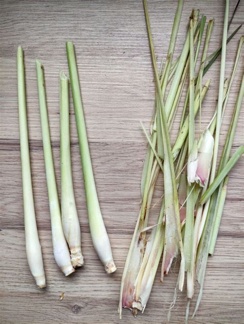 préparation de la tige de citronnelle : épluchage et découpe