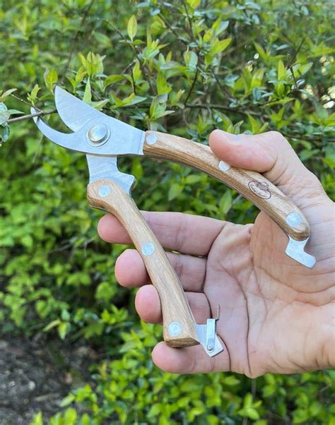 Vue rapprochée d'un sécateur traditionnel avec manche en bois et lames en acier brillant