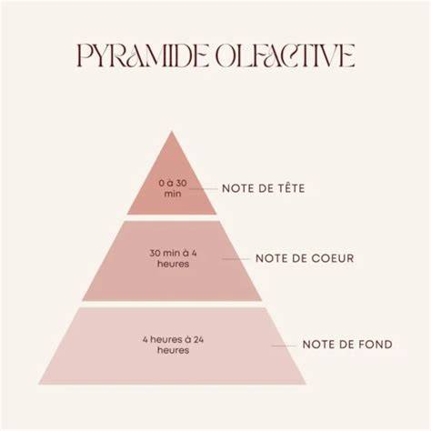 Schéma explicatif des notes olfactives (Tête, Cœur, Fond) du diffuseur