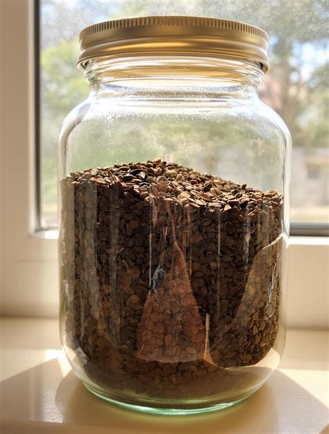 Illustration montrant du marc de café séché dans un bocal en verre à côté d'une tasse de café
