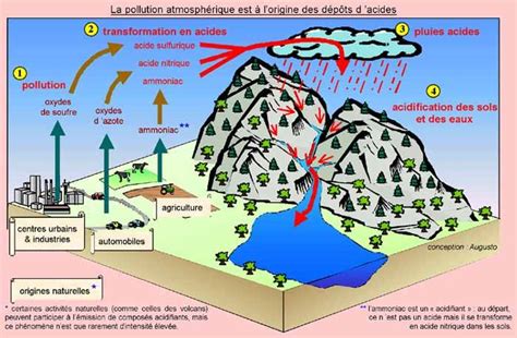 Schéma de la pollution atmosphérique due aux engrais