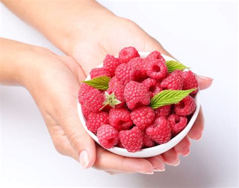 Détail de mains récoltant des framboises fraîches dans un champ