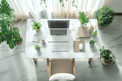 Un bonsaï élégant sur un bureau zen