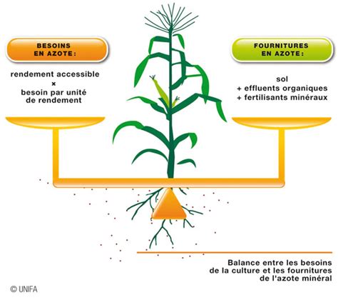 Infographie détaillant les étapes du calcul du bilan d'azote selon la méthode Comifer